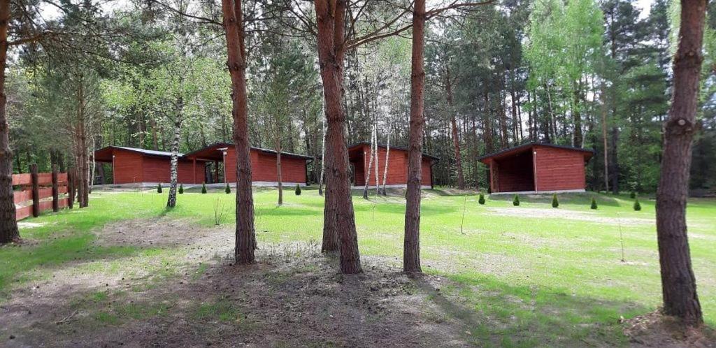 Domki Wrzosowe Wzgorza Nr2 Horyniec Exterior photo