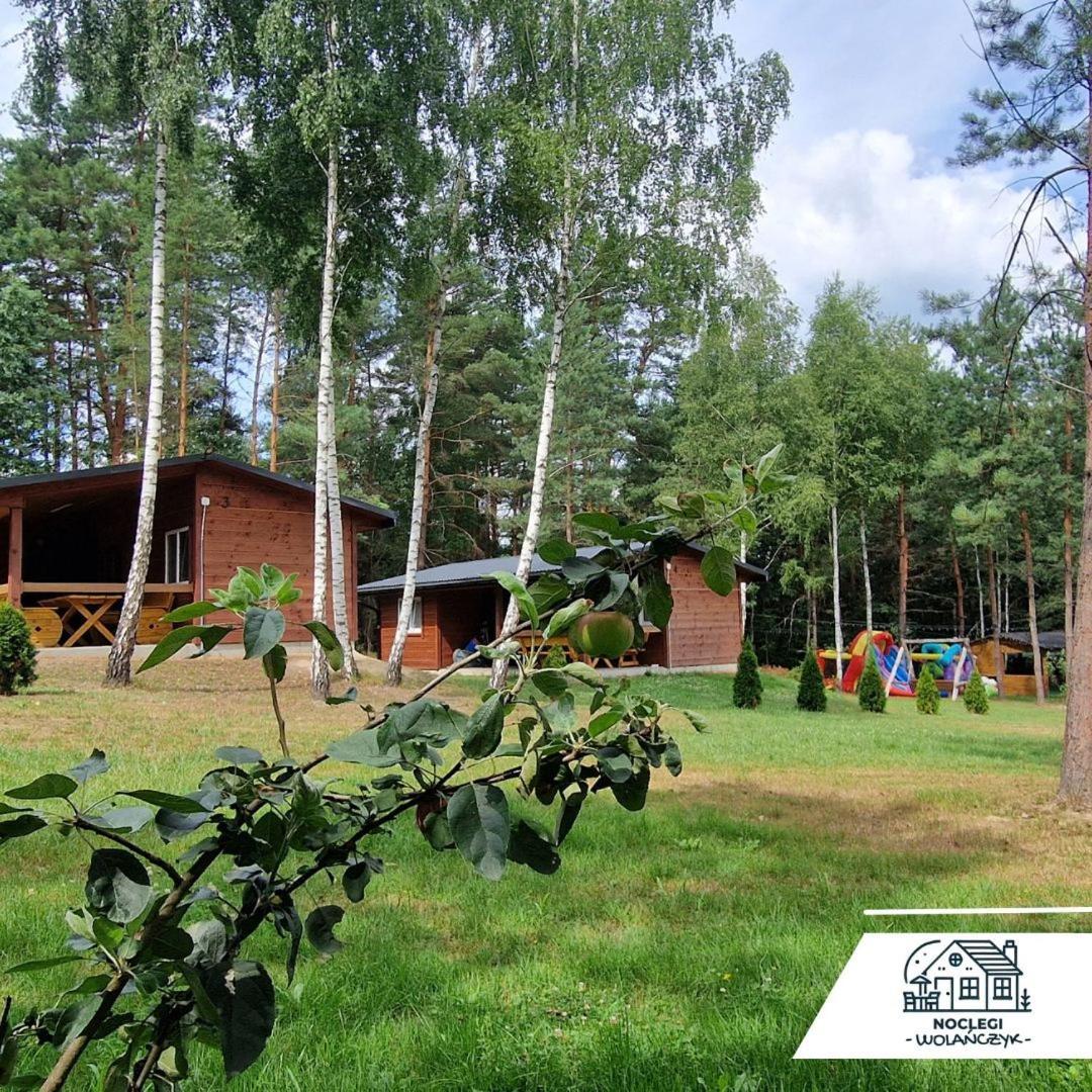 Domki Wrzosowe Wzgorza Nr2 Horyniec Exterior photo